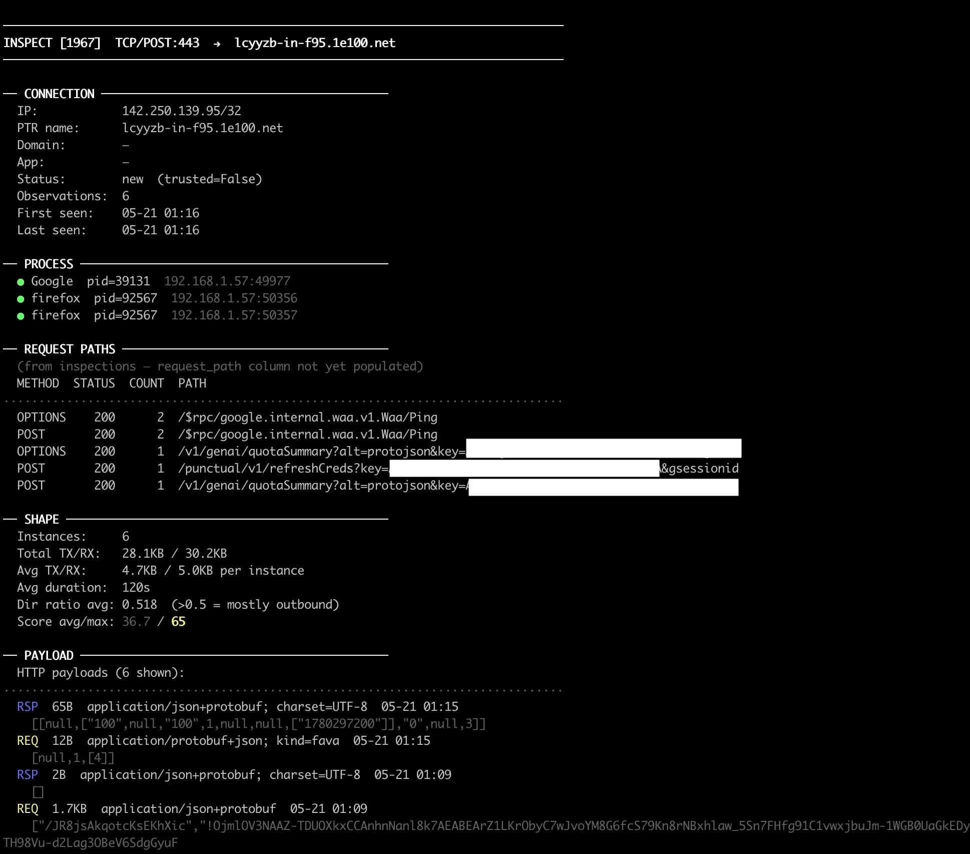 Screenshot of my inspection tool, with Process, Request Paths, Shape and Payload for each connection.